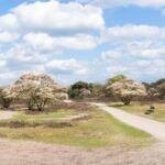 Een natuurwandeling door het Gooi