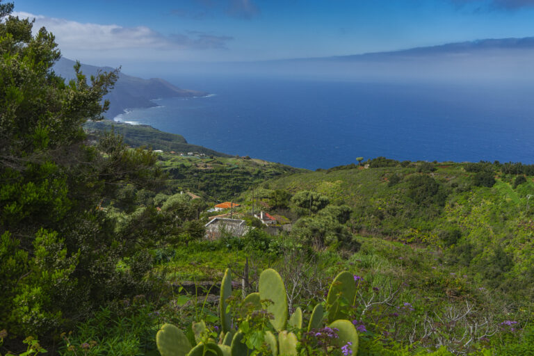Spaans La Palma: groen, groener, groenst