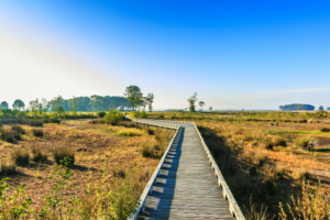 1-daagse Yogabelevenis in Terwolde