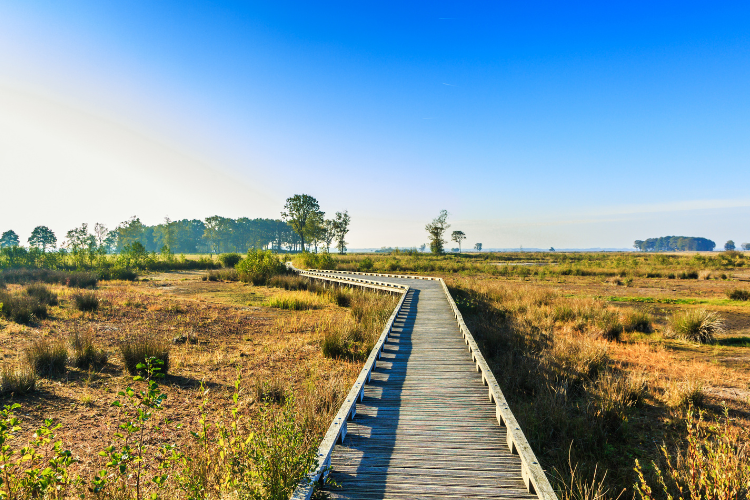 Oerwandelen in Drenthe!