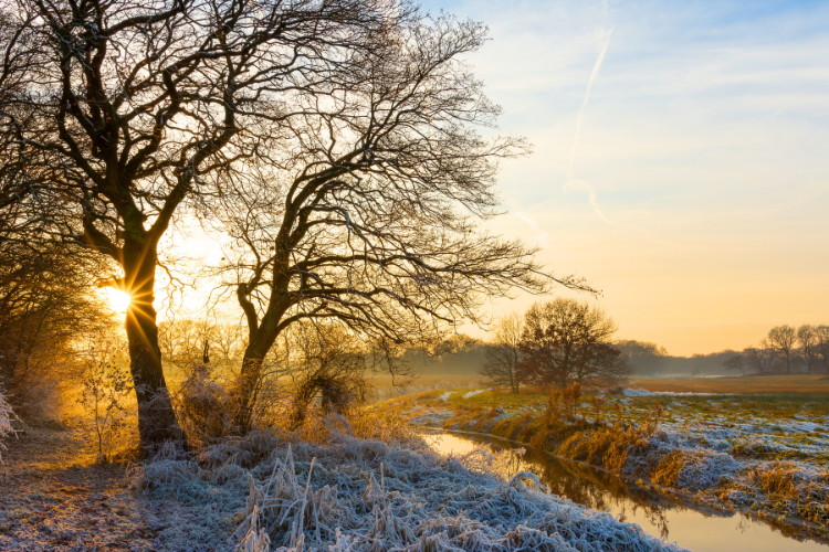 Sterrenkerst in sfeervol Drenthe