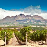 Groots en indrukwekkend Zuid-Afrika
