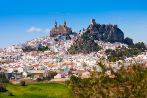 1-daagse Yogabelevenis in Terwolde