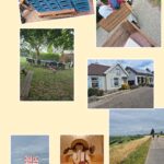 Beleef de Betuwe: wandeltocht over de Appeldijk