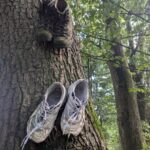 Ultiem wandelen: 7 x top in Zuid-Limburg