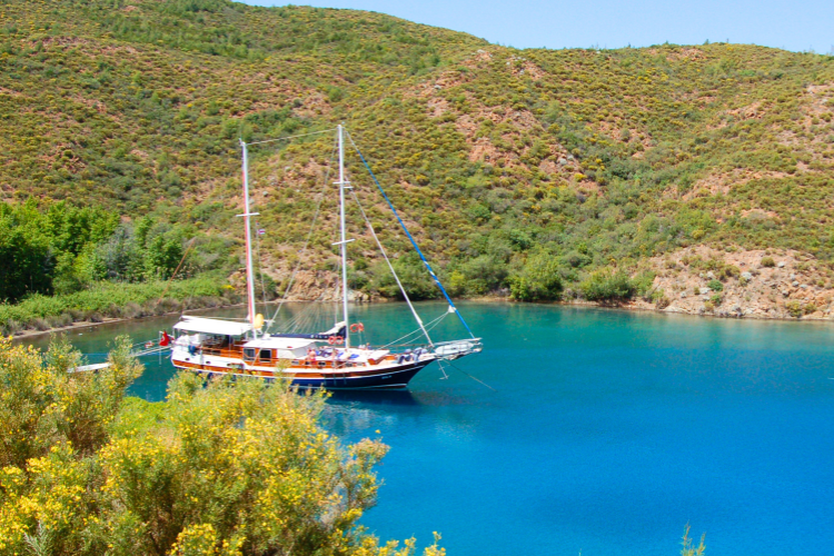 60plusEndus Comfort Blue Cruise