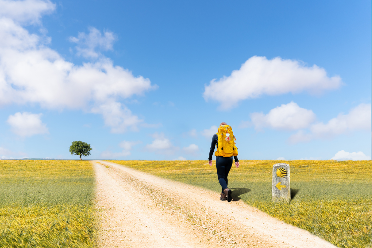 Pelgrimstocht Camino Portugues naar Santiago