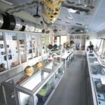 Wandeling door het universum