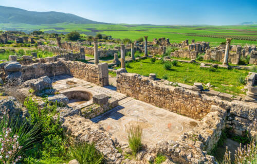 Ruins of Volubilis, a Berber and Roman city in Morocco