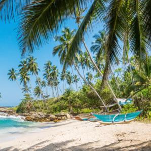 Panoramic view of the beach with traditional wooden fishing boats in Sri Lanka.