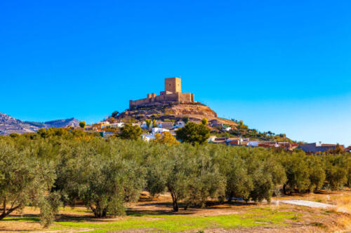 Castle of Alcaudete