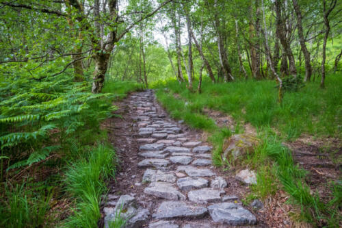 A scenic cobbled path along the West Highland Way hiking trail in Scotland