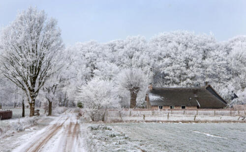 Winter. Frost. Snow. Colony house. Koloniehuisje.  Frederiksoord Drenthe Netherlands. Maatschappij van Weldadigheid
