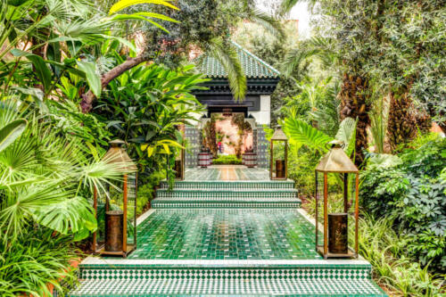 Gardens and trees in the urban parks of Marrakech Morocco