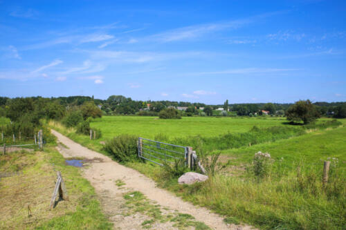 View on dutch hiking trail through rural green landscape against blue summer sky - Oosterbeek (Gelderland) near Arnhem, Netherlands