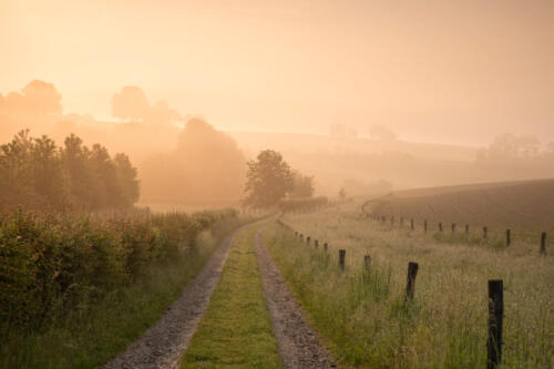 Limburg farmland in foggy spring sunrise