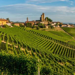 The beautiful village of Serralunga d'Alba and its vineyards in the Langhe region of Piedmont, Italy.