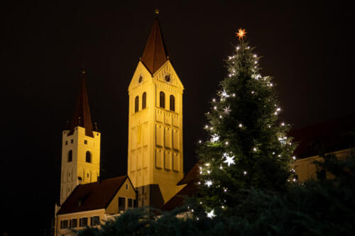 Moosburg Weihnachten Kastulus Münster Weihnachtsbaum Christmastree