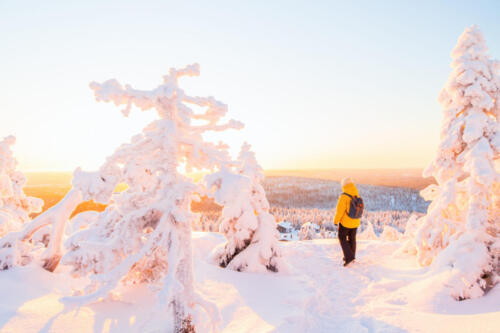 Young woman in winter forest in Finland