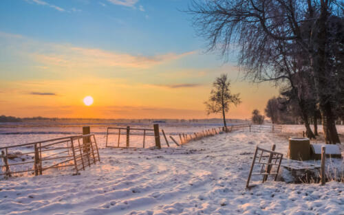 Gates and Fences in Winter Landscape