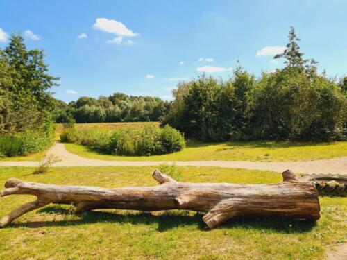 Uitzicht op het Vliersche Veld