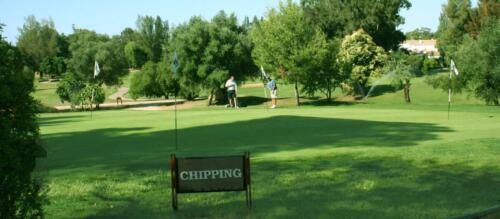 chipping-green